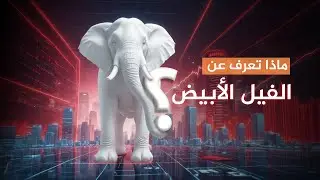 لماذا تسمى المشاريع الفاشلة بالفيل الأبيض؟