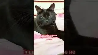 главный в семье 😄 