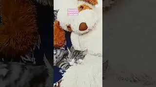 сколько вам лет  если прибавить 4?