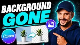 How to Use Transparent Background in Canva (Full Guide 2026)