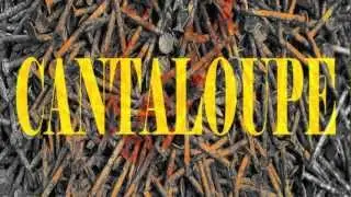 Reek Havik ft Young Joker- Cantaloupe