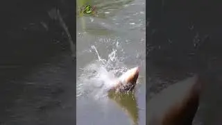 РЫБАЛКА на ПОПЛАВОК. ЛИНЬ🎣🐡