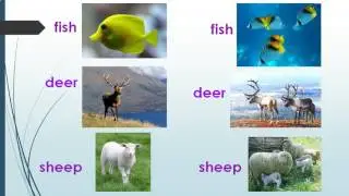 Презентация Множественное число существительных  Исключения