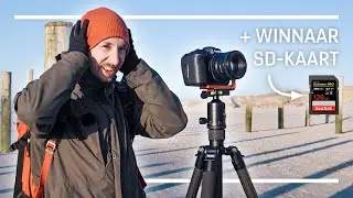 VERDWALEN tussen de PALEN | Landschapsfotografie in Petten