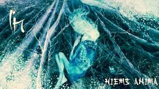 Hiems anima Новый альбом 2021 года от группы IN