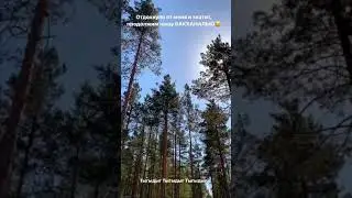 Толя торнадо, новый дольче и про соревнования по Куни😅