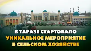 Форум-выставка «KazАgroZhambyl-2024» открылась в Таразе