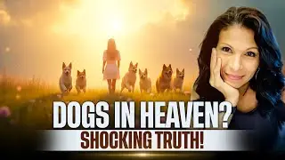 Woman Sees Dogs in Heaven [Shocking Revelation About The Afterlife]