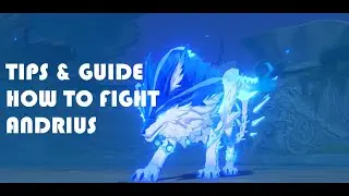 Genshin Impact Beginner Guide - How To Fight Andrius (Wolf of The North Wind) Weekly Boss