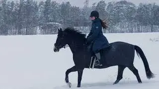 Ute i Snøen!