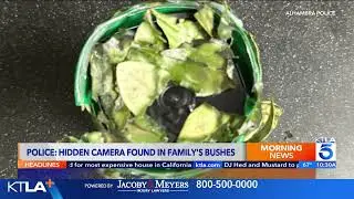 Sneaky hidden camera found in bushes outside Alhambra home