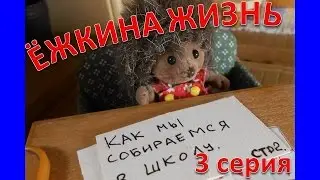 Сильваниан Фемелис. Ёжкина жизнь.. Как мы собираемся в школу 3 серия