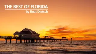 The Best of my Florida Trip