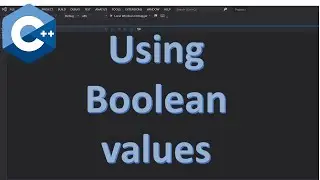 Ex 13 | C++ Boolean Values