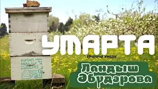 Ландыш Әбүдәрова "Умарта" 3 кисәк
