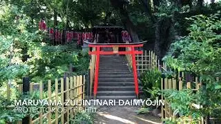 A Private Tour of Shiba Park - Part 2