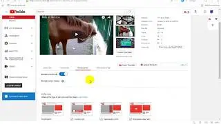 How to add multiple ads in youtube video