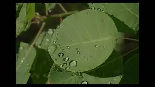 Úton útfélen  S02/E19