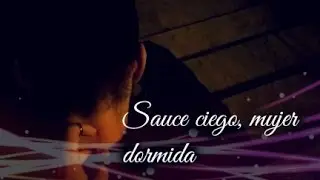 Sauce ciego, mujer dormida...