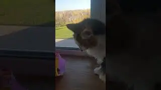 хрум-хрум