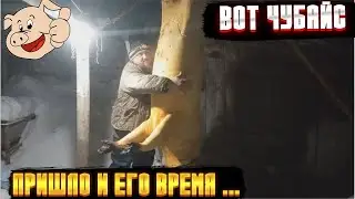 18+ Забой Комаровского хряка.
