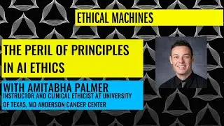 The Peril of Principles in AI Ethics