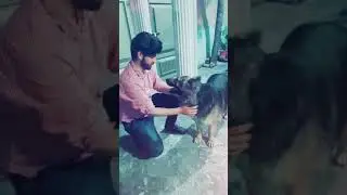 loog kehta hn..............
