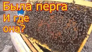 ШЕСТИРАМОЧНИКИ! РЕВИЗИЯ и СТИМУЛЯЦИЯ Не всё так плохо!!!
