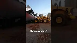 21 июня 2022 г.