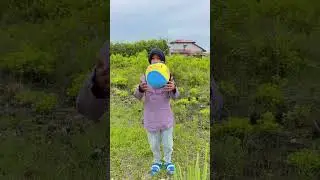 #shorts