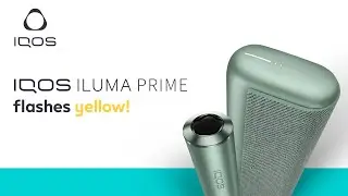 What do yellow flashing lights on my IQOS ILUMA Prime mean? | IQOS UK