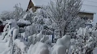 Диво-дивное, чудо-чудное!