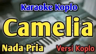 CAMELIA - KARAOKE || NADA PRIA COWOK || Versi Koplo
