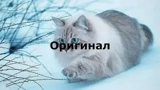 Весна