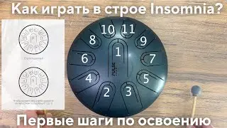 Pulse Drum в строе Insomnia от Fa на 11 лепестков. Как играть на глюкофоне, первые шаги в освоении
