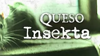 Queso - Insekta (OFFICIAL LYRIC VIDEO)