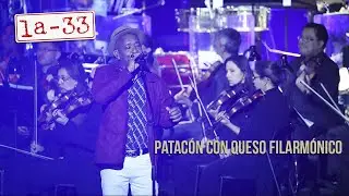 Patacón con Queso Filarmónico - La-33 y @filarmonibogota en vivo Teatro Mayor JMSD