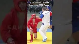 2024 Боевое самбо нокаут коленом в селезёнку от Чемпиона Мира Саид Саидов Дагестан 