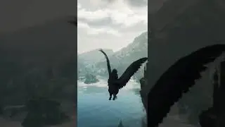 Hogwarts Legacy hippogriff flight