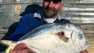 Alabama State Record Look Down Bowfishing BAA Submission