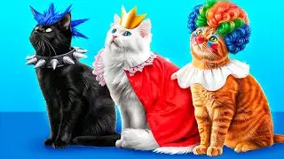 Good Cat vs Bad Cat! Life of Different Pets