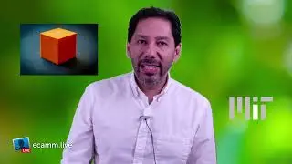 Live Stream