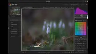 #darktable