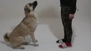 Неуспехите 