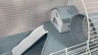 Клетка для грызунов 4703 эмаль 47х32х38см Золотая Клетка
