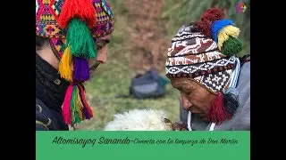 Meditación Sanación de Altomisayoq Don Martín Quispe