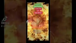 Так все же СПАСАТЬ или УДАЛЯТЬ?