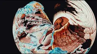 What So Not, Daktyl - Fever (Official Audio)
