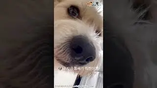 나 지금 급하니까 당장 일어나.
