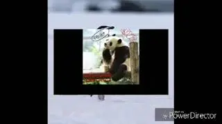 Севгини Оллох яратган